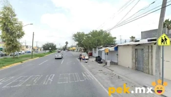 Aplex de México S.a. de C.v. - Barrio Margaritas