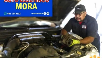 Auto Eléctrico Mora - Amp Mazatlan