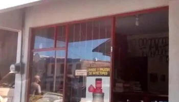Autoeléctrico Manzanares - Los Mochis