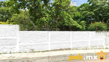 Cfe- Area cintalapa - Guadalupe
