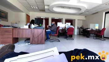 Cfe Distribución Zona Querétaro - San Francisquito