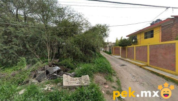 Cissa - El Llano