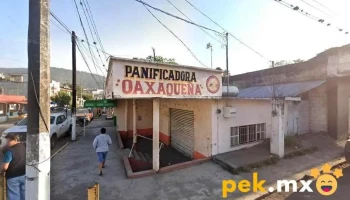 Comisión Federal de Electricidad - Cosolapa