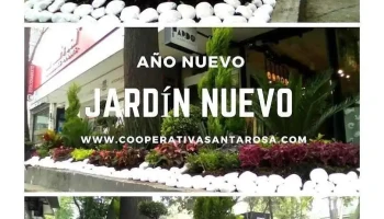 Cooperativa Santa Rosa - Álvaro Obregón, Ciudad De México