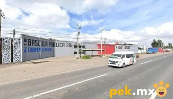 Cotesa báscula pública - Amp. Tezoyuca