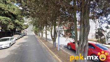 Distribuidora Proelectric - San Salvador Tizatlalli