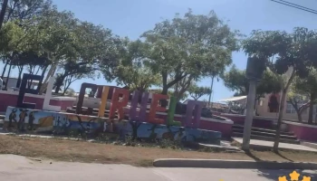 El Ciruelo - El Ciruelo