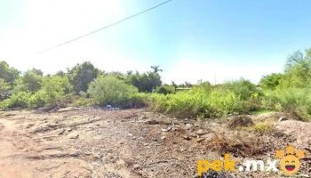 Eléctrica Arredondo - Los Mochis