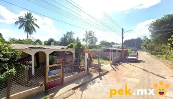 Electrico Alvagon - Chis