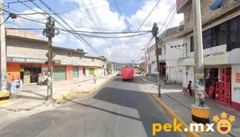Electrico Automotriz - Calixtlahuaca