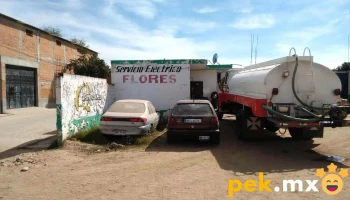 Electrico Automotriz Flores - Adolfo López Mateos