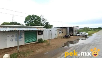 Electrico Automotriz - Trinidad Zaachila