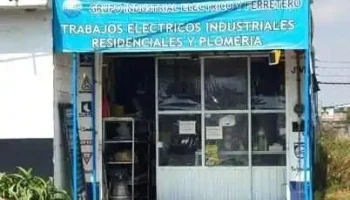Gief - Crespa Floresta