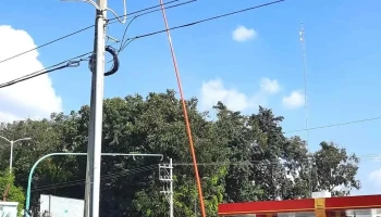 Ingeniería En Protección Y Seguridad Electrica Y Electrónica - Los Naranjos