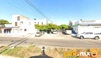 Intélico - Los Mochis