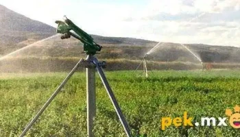 Irrigación y Servicios Especializados Iyse - Lerdo De Tejada