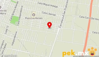 MultiServicio Electrónico - Ixtapaluca