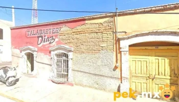 Omega Electromecánica - Hidalgo Del Parral