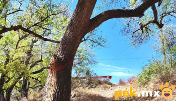 Planta de Agua Potable Japama - Nuevo San Miguel