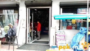 Plomeria Y Electricidad Nueva Internacional - Zona Centro