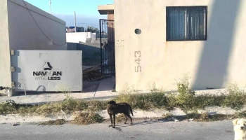 Portal de las salinas. Cienega de flores, nl - Vivero Del Puente Lote 122