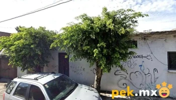 Proycon, Gmg, S.a. De C.v. - Cuernavaca