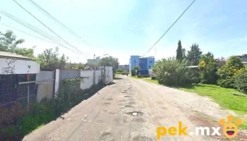 Recolección y reciclaje de desperdicio. René - Col. Guadalupe Victoria
