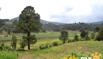 Santa Ana Nichi - Santa Ana Nichi