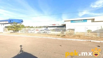 Sensa Bellavista - Culiacán Rosales