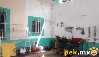 Servicio Eléctrico Automotriz - 18 De Marzo