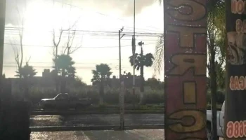 Servicio Eléctrico automotriz - Chiautla