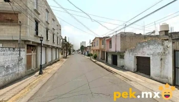 Servicio Electrico Automotriz 