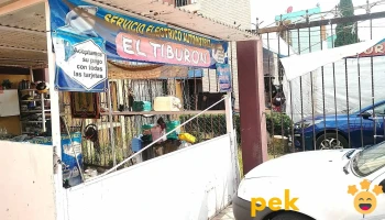 Servicio eléctrico automotriz 