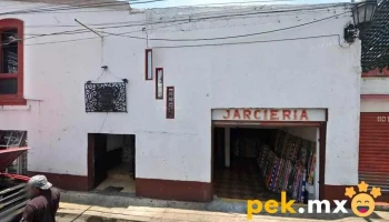 Servicio Eléctrico Automotriz 