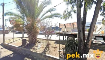 Servicio Eléctrico Concepción - Tláhuac, Ciudad De México