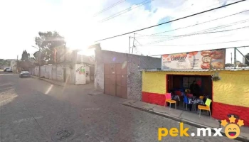 Servicio Eléctrico Correa, Autopartes y más - El Vicario