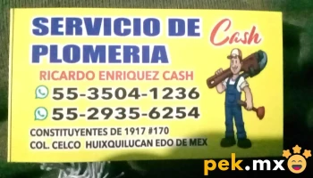 Servicios de Plomeria electricidad y algo más 