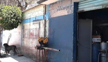 Servicios Varios 