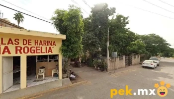Servios de electricidad Doméstica - Sinaloa De Leyva