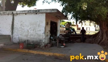 Taller Electrico Automotriz Hernandez - Navolato