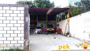Taller Eléctrico Automotriz Teno - 30187 Las Margaritas