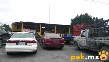 Taller Electrico Garza - 65220 Sabinas Hidalgo