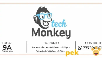 Tech Monkey - Cuernavaca