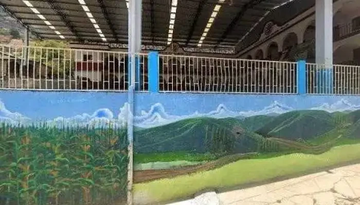Administracion Municipal De Santo Domingo Ozolotepec Instagramdeg - Santo Domingo Ozolotepec