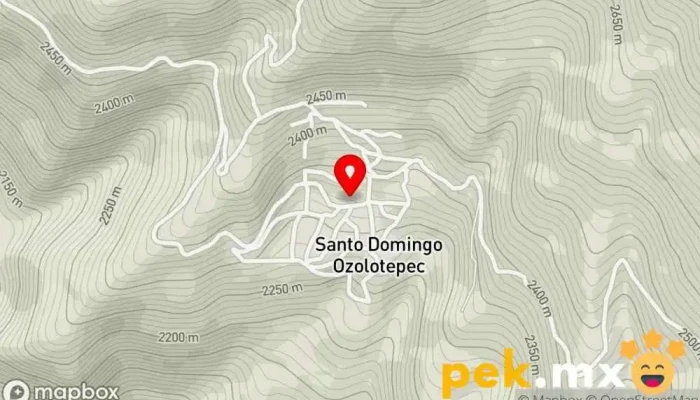 mapa de Administración Municipal de Santo Domingo Ozolotepec Oficina de gobierno local en Santo Domingo Ozolotepec