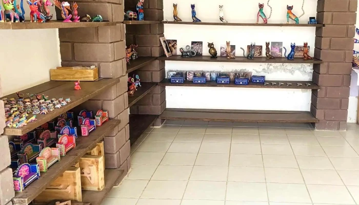 Alebrijes El Sueno Zapoteco Donde - San Martín Tilcajete