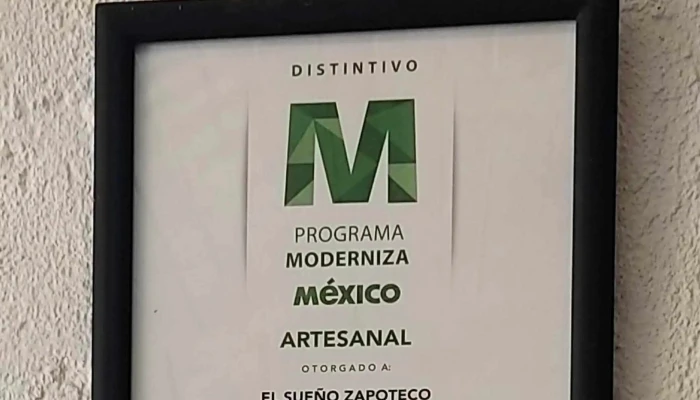 Alebrijes El Sueno Zapoteco Instagram - San Martín Tilcajete