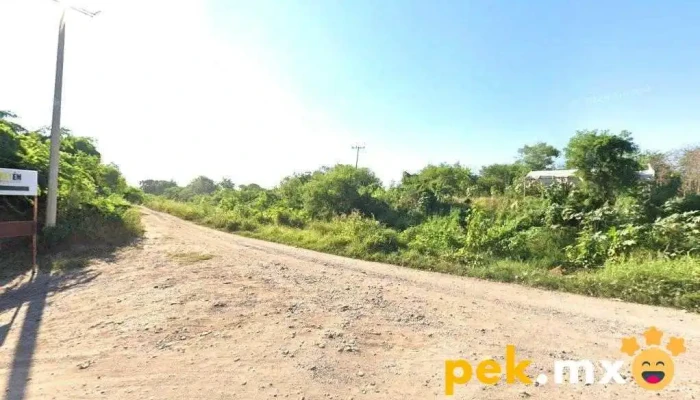 Alten Material Eléctrico - Culiacán Rosales