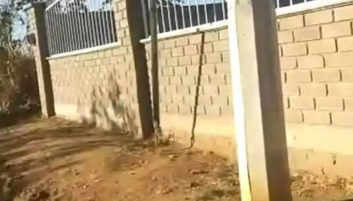 Arcos De Santa Ana Tlapacoyan -  Videos - Santa Ana Tlapacoyan