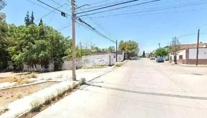 Arkiferre Instagramdeg - Chihuahua